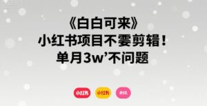 小白可来 小红书项目不需要剪辑 单月3w不是问题-阳知网创资源库