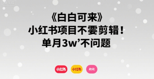 小白可来 小红书项目不需要剪辑 单月3w不是问题-阳知网创资源库