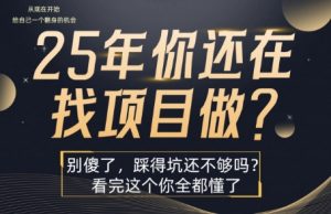 25年,你还在疯狂的找项目吗?别傻了,看完这个你都懂了【揭秘】-阳知网创资源库