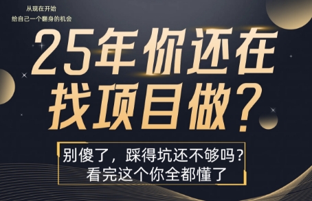 25年,你还在疯狂的找项目吗?别傻了,看完这个你都懂了【揭秘】-阳知网创资源库