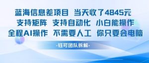 蓝海信息差项目当天收米1k+ 支持矩阵支持自动化小白能操作全程AI操作不需要人工你只要会电脑-阳知网创资源库