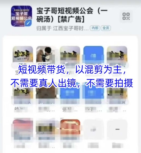 宝子哥头部团队短视频带货,以混剪为主,不需要真人出镜,不需要拍摄【更新8月】-阳知网创资源库