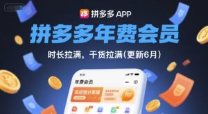拼多多年费会员,实经验分享操,时长拉满,干货拉满(更新8月)-阳知网创资源库