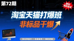 淘宝天猫打爆班原创高阶技术第72期,非标品干爆-阳知网创资源库
