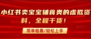 小红书卖宝宝辅食类的虚拟资料，从引流到私域变现，全程干货，简单粗暴，轻松上手-阳知网创资源库