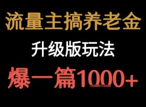 流量主之养老金升级版玩法 爆一篇收益1k+-阳知网创资源库
