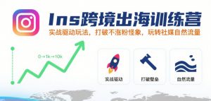 Ins跨境出海训练营,实战驱动玩法,打破不涨粉怪象,玩转社媒自然流量-阳知网创资源库