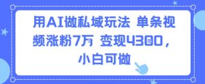 用AI做私域玩法，单条视频涨粉7W变现4.3k，小白可做-阳知网创资源库