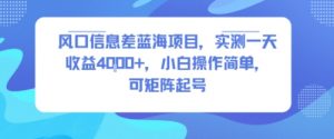 风口信息差蓝海项目，实测一天收益4k+，小白操作简单，可矩阵起号-阳知网创资源库