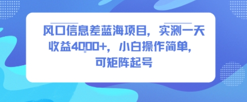 风口信息差蓝海项目,实测一天收益4k+,小白操作简单,可矩阵起号-阳知网创资源库