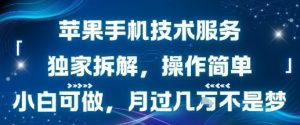 苹果手机技术服务,独家拆解,操作简单,小白可做,月过1W不是梦-阳知网创资源库