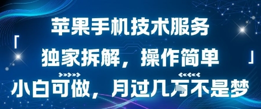 苹果手机技术服务,独家拆解,操作简单,小白可做,月过1W不是梦-阳知网创资源库
