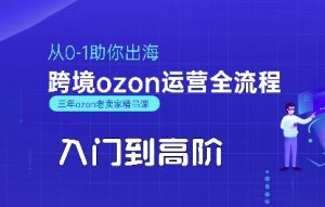 OZON入门到高阶全流程,从0-1助你出海,跨境ozon运营全流程-阳知网创资源库