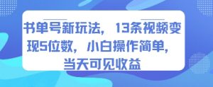 书单号新玩法，13条视频变现5位数，小白操作简单，当天可见收益-阳知网创资源库