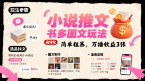 小说推文小红书多图文玩法，简单粗暴，万播收益3张-阳知网创资源库