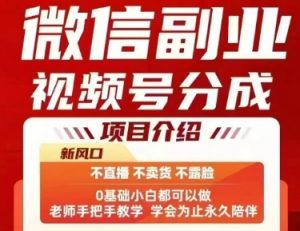 微信副业视频号分成,不直播 不卖货 不露脸,三五分钟即可完成一条作,每日收益几十、几张不等-阳知网创资源库