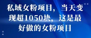 私域女粉项目，当天变现超1k，这是最好做的女粉项目，可放大操作-阳知网创资源库