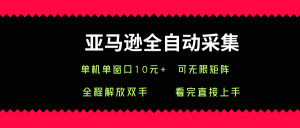 亚马逊全自动采集，单机单窗口一天10+，可无限矩阵去做【揭秘】-阳知网创资源库