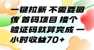 一键拉新 不需要回传 首码项目 接个验证码就算完成 一小时收益70+【揭秘】-阳知网创资源库