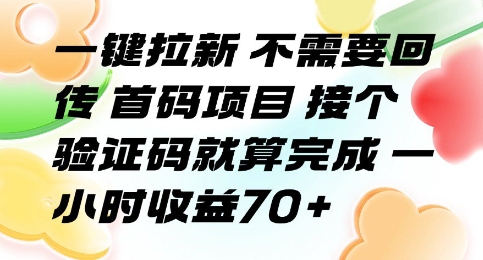 一键拉新 不需要回传 首码项目 接个验证码就算完成 一小时收益70+【揭秘】-阳知网创资源库