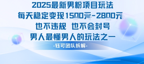 2025最新男粉项目玩法每天变现1k+也不违规也不会封号男人最懂男人的玩法-阳知网创资源库