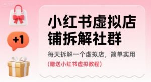小红书虚拟店铺拆解社群,每天拆解一个虚拟店,简单实用(赠送小红书虚拟教程)-阳知网创资源库