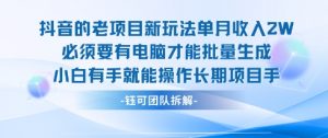老项目新玩法单月收入2W小白有手就能操作长期项目-阳知网创资源库