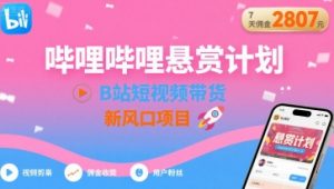 哔哩哔哩悬赏计划,B站短视频带货,7天佣金2807,新风口项目-阳知网创资源库