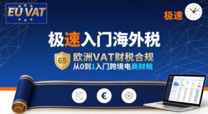 极速入门海外税，欧洲VAT财税合规，从0到1入门跨境电商财税-阳知网创资源库