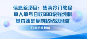 信息差项目:售卖冷门教程单人单号日收9张纯利基本就是复制粘贴就能做-阳知网创资源库