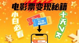 小白必看!卖电影票项目,零投入无门槛谁都能做,十天到手 7k,照做就行【揭秘】-阳知网创资源库
