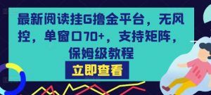 最新阅读挂G撸金平台,无风控,单窗口70+,支持矩阵,保姆级教程【揭秘】-阳知网创资源库