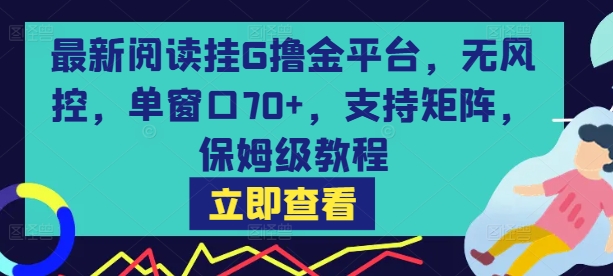 最新阅读挂G撸金平台，无风控，单窗口70+，支持矩阵，保姆级教程【揭秘】-阳知网创资源库
