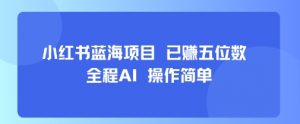 小红书蓝海项目，全程AI，操作简单，已挣五位数-阳知网创资源库