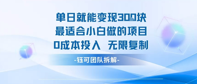 单日就能变现3张最适合小白做的项目0成本投入 无限复制-阳知网创资源库