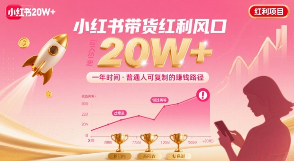 一年时间靠小红书带货项目年入20w+,最不能错的大红利项目-阳知网创资源库