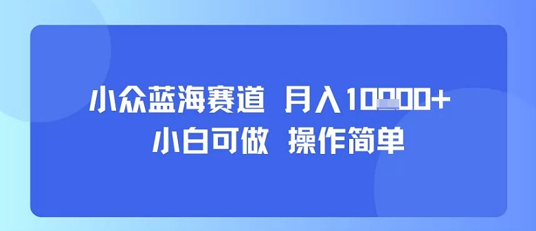 小众蓝海赛道，小白可做，操作简单，每天30分钟，月入1W+-阳知网创资源库
