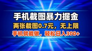 手机截图暴力掘金,两张截图0.7米,一部手机就能做,轻松日入3张+【揭秘】-阳知网创资源库
