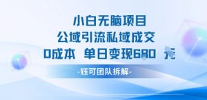 小白无脑项目公域引流私域成交0成本单日变现680米-阳知网创资源库