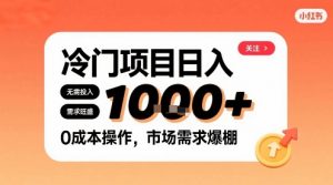 在小红书上发现个冷门路子，需求不小，零成本操作，每天能有1k进账-阳知网创资源库