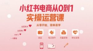 小红书电商从0到1实操运营课,从零开始,简单易学-阳知网创资源库