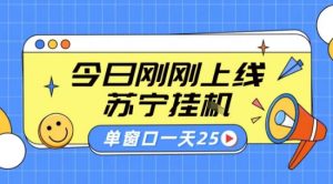 苏宁全自动采集挂G项目 稳定可批量 单窗口收益30+ 附教程【揭秘】-阳知网创资源库