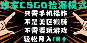 CSGO自动捡漏项目,最新独家玩法,不是美区搬砖,不需要了解和玩游戏,新手小白轻松月入1W+【揭秘】-阳知网创资源库