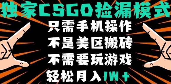 CSGO自动捡漏项目,最新独家玩法,不是美区搬砖,不需要了解和玩游戏,新手小白轻松月入1W+【揭秘】-阳知网创资源库