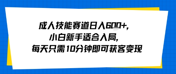 成人技能赛道日入多张，小白新手适合入局，每天只需10分钟即可获客变现-阳知网创资源库