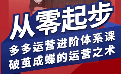 拼多多运营进阶系统课,从零起步,多多运营进阶体系课,破茧成蝶的运营之术-阳知网创资源库
