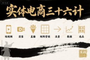 实体电商三十六计，短视频-获客-直播-矩阵营销-流量-数据-选品-阳知网创资源库