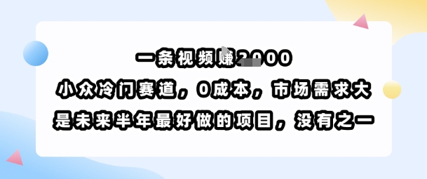一条视频挣1k,小众冷门赛道,0成本,市场需求大,是未来半年最好做的项目,没有之一-阳知网创资源库