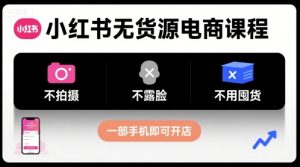小红书无货源电商课程,不拍摄不露脸不用囤货,一部手机即可开店-阳知网创资源库