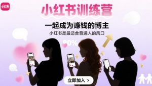 小红书训练营一起成为賺钱的博主,小红书是最适合普通人的风口-阳知网创资源库